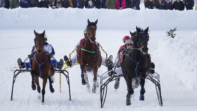 赛事举办与 赛事举办与